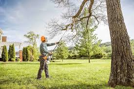 Best Tree Removal  in USA